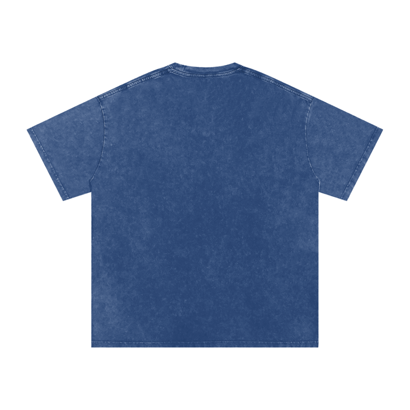 Akali Phula Singh Ji Vintage Heavyweight Tee
