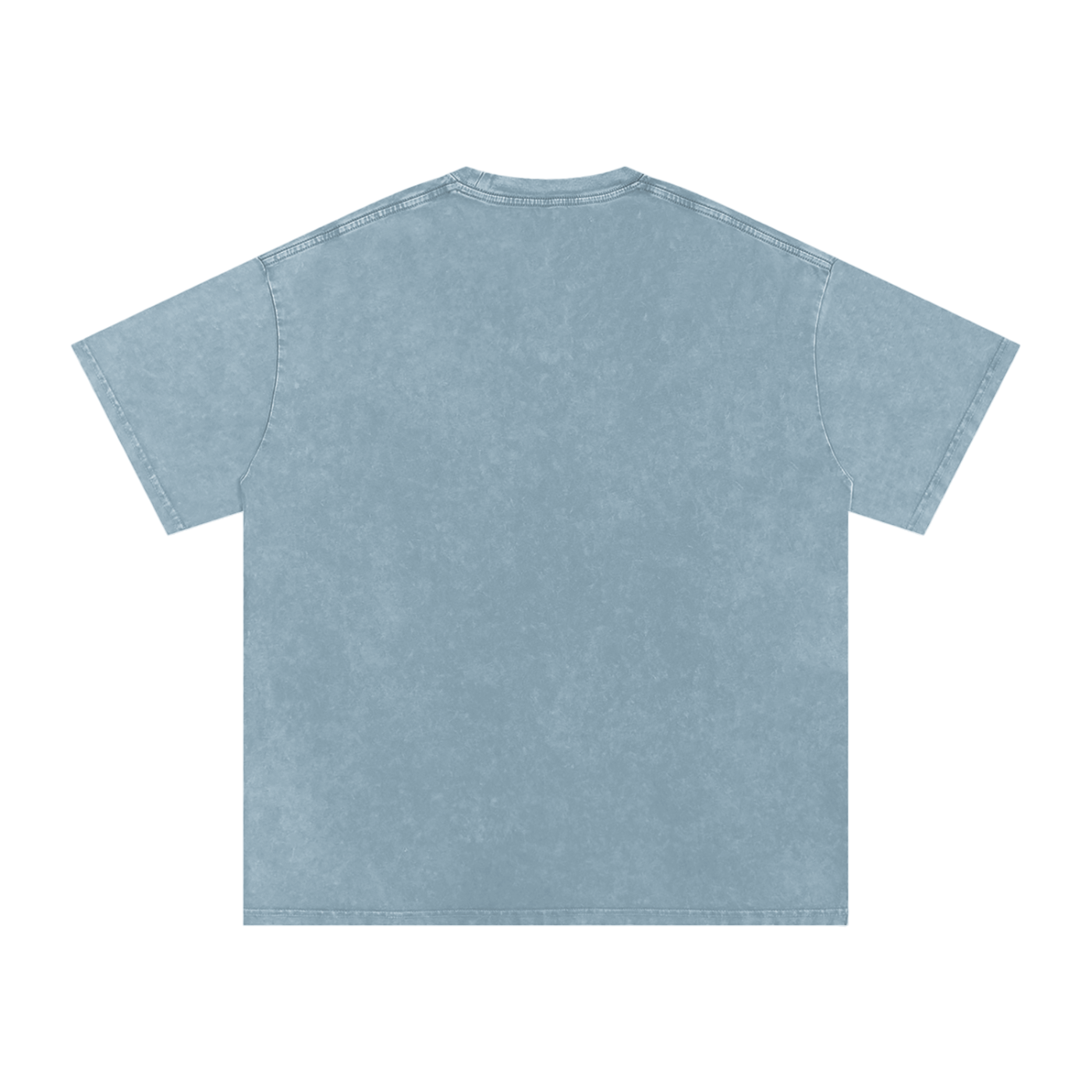 Nawab Kapur Singh Ji Vintage Heavyweight Tee